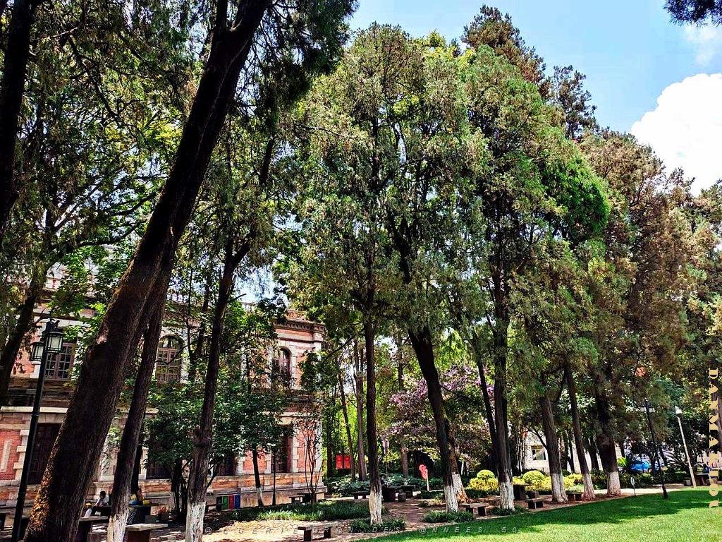 Kunming - Universite du Yunnan (31).jpg